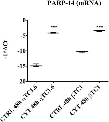 PARP-14 Promotes Survival of Mammalian α but Not β Pancreatic Cells Following Cytokine Treatment